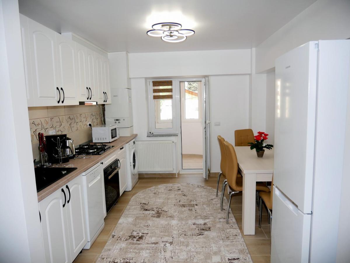 Apartament David Câmpulung Moldovenesc Eksteriør billede