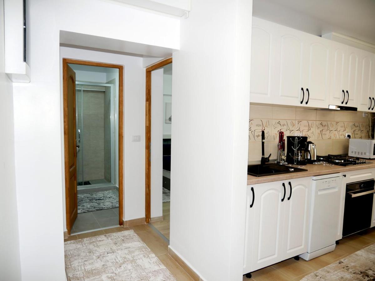Apartament David Câmpulung Moldovenesc Eksteriør billede